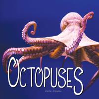 Ocean Animals