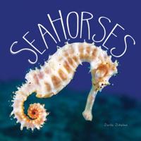 Ocean Animals