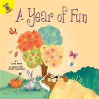A Year of Fun