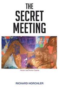 Kirjan kansi "THE SECRET MEETING"