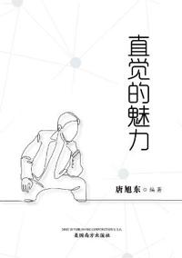 ?????(The Power of Intuition, Chinese Edition)