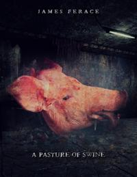 Pasture of Swine