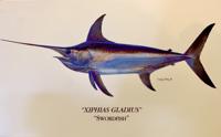 Xiphias gladius - The Fish of My Lifetime... a short story by Michael Fowlkes