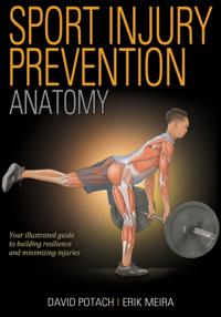 Sport Injury Prevention Anatomy