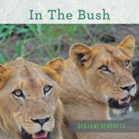 In the Bush