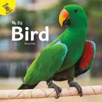My Pet