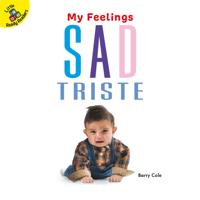 My Feelings