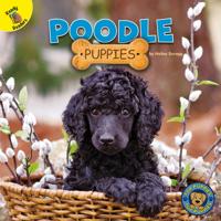 Top Puppies