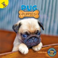 Top Puppies
