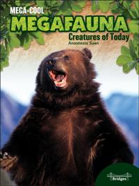 MegaCool MegaFauna