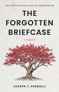 The Forgotten Briefcase