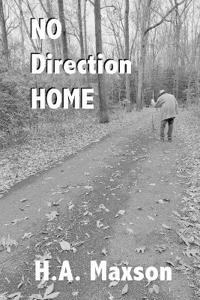 No Direction Home