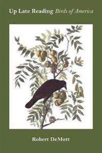 Up Late Reading Birds of America