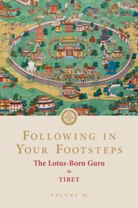 Following in Your Footsteps