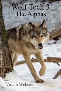 Bokomslag för "Wolf Tech 3"