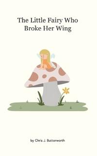 The Little Fairy Who Broke Her Wing