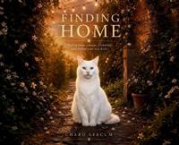 Finding Home