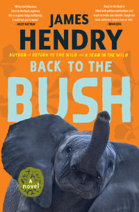 Back to the Bush