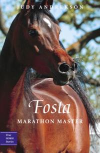 True Horse Stories