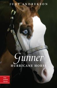 True Horse Stories