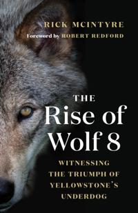 The Alpha Wolves of Yellowstone