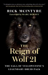 The Alpha Wolves of Yellowstone