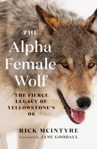The Alpha Wolves of Yellowstone