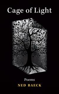 Cage of Light