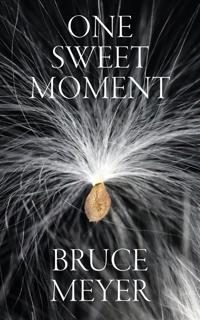 One Sweet Moment