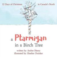 A Ptarmigan in a Birch Tree
