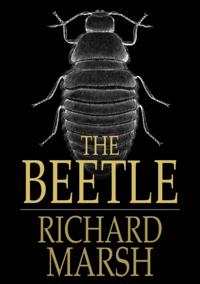 Beetle