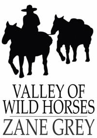Valley of Wild Horses