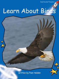 Learn about Birds Big Book Edition