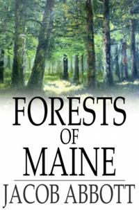 Forests of Maine