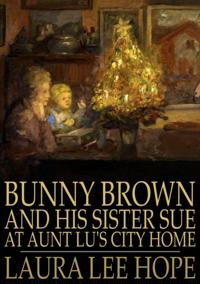 Bunny Brown and His Sister Sue at Aunt Lu's City Home