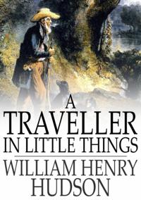 Traveller in Little Things