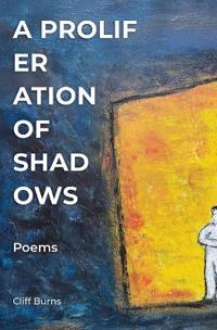 A Proliferation of Shadows