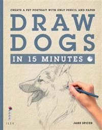 Draw in 15 Minutes