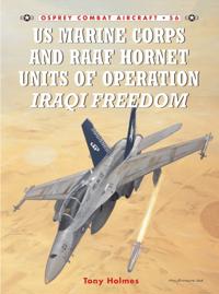 Combat Aircraft