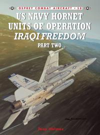Combat Aircraft