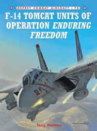 Combat Aircraft
