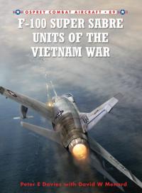 Combat Aircraft