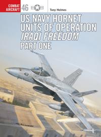 Combat Aircraft