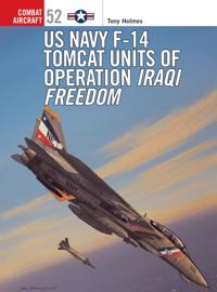 Combat Aircraft