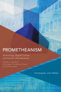 Critical Perspectives on Theory, Culture and Politics