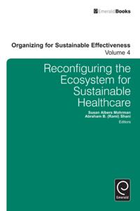 Organizing for Sustainable Effectiveness