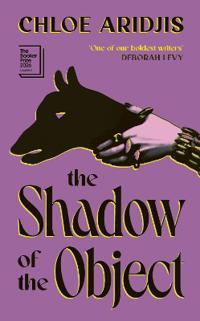 The Shadow of the Object