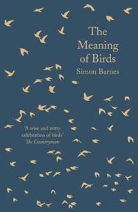 Meaning of Birds