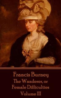 Wanderer, or Female Difficulties - Volume III