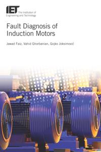 Fault Diagnosis of Induction Motors